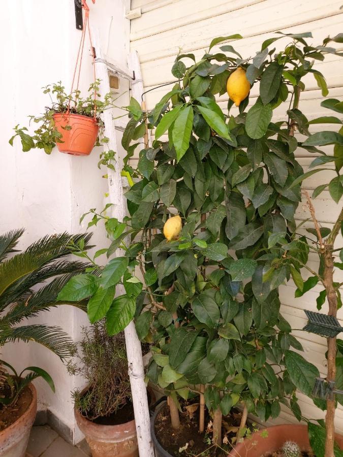 Daria's Сasa de vacaciones Palermo